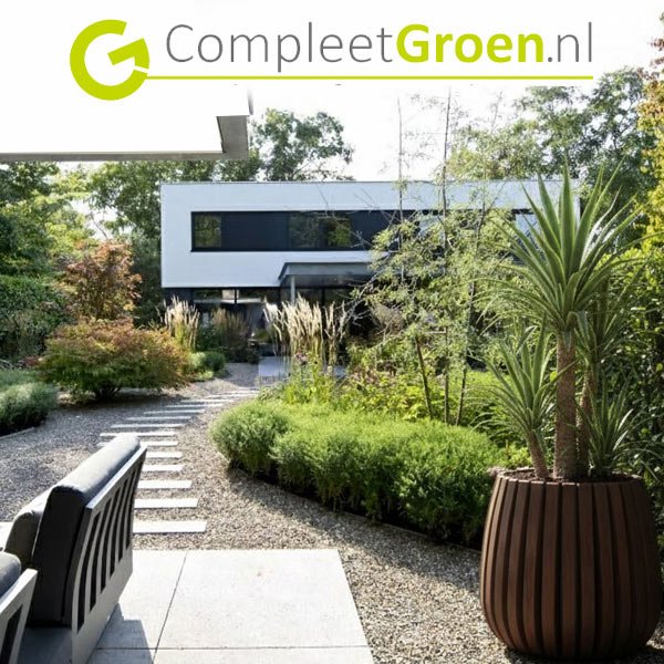 Compleet Groen